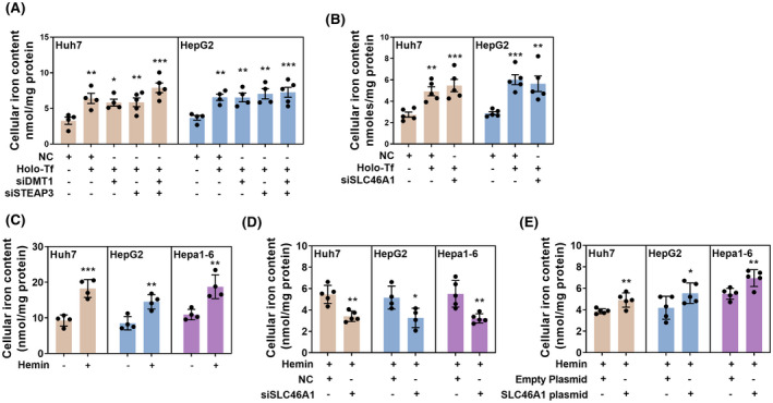 FIGURE 4