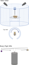 Tethered Flight Assays. Static tethers hold the insect, so the insect flies in place.