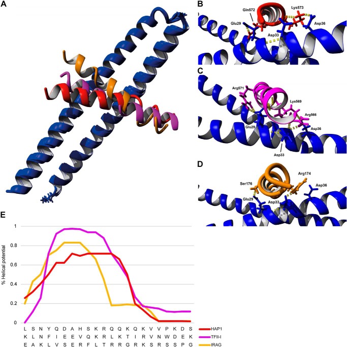 FIGURE 4.