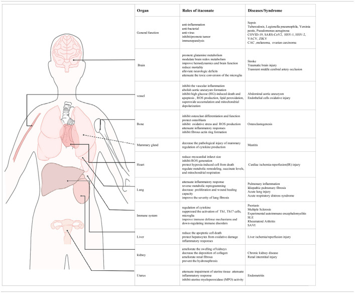 graphic file with name fchem-09-669308-i0005.jpg