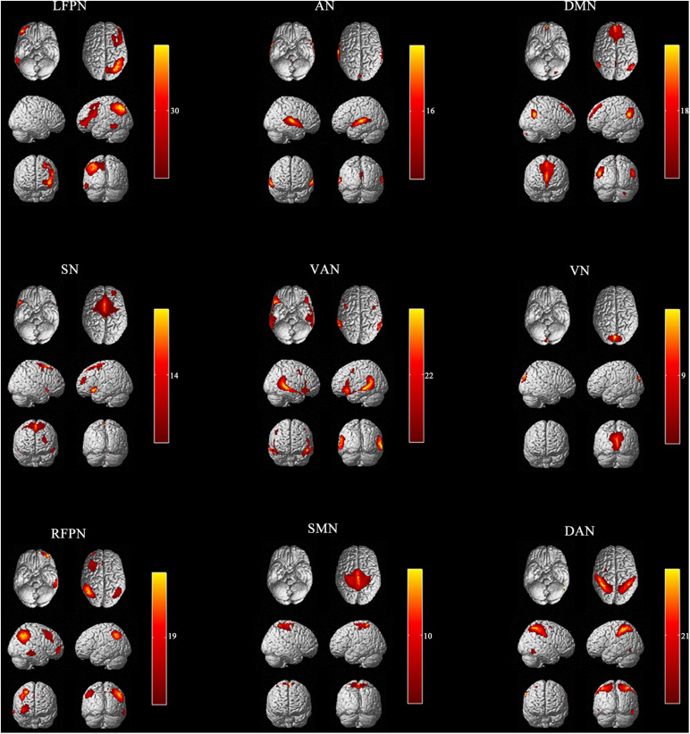 FIGURE 1