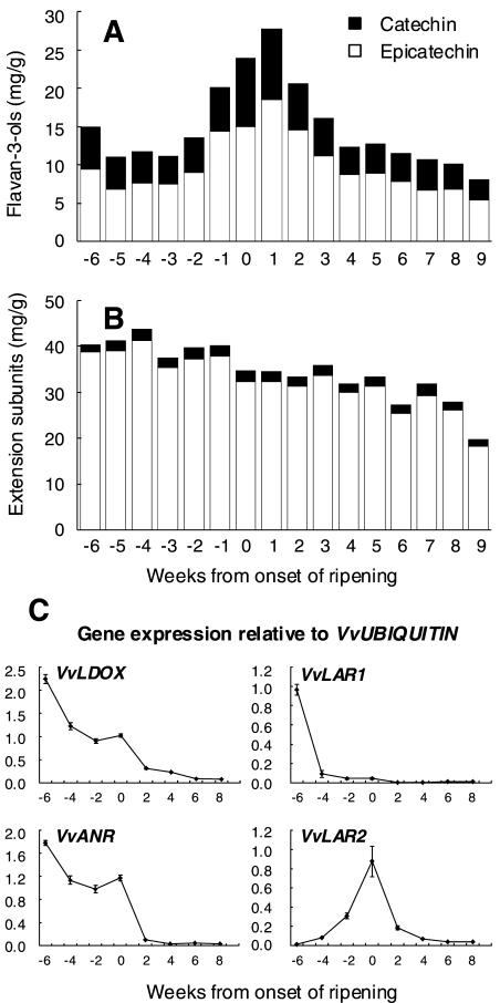 Figure 7.