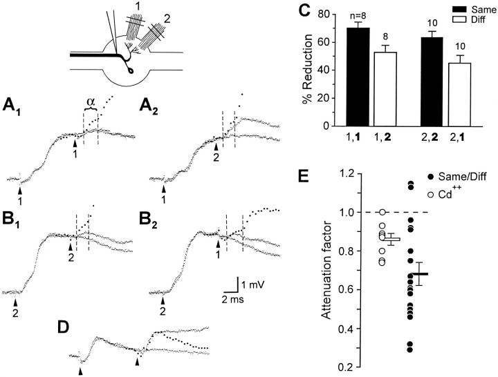 Fig. 11.