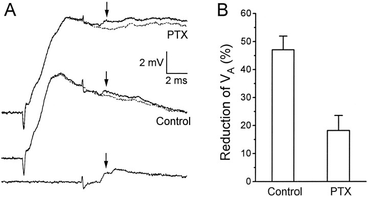 Fig. 5.