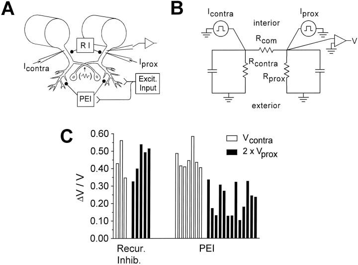 Fig. 9.