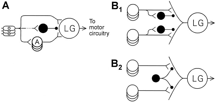 Fig. 12.