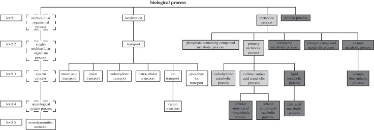 Figure 2.