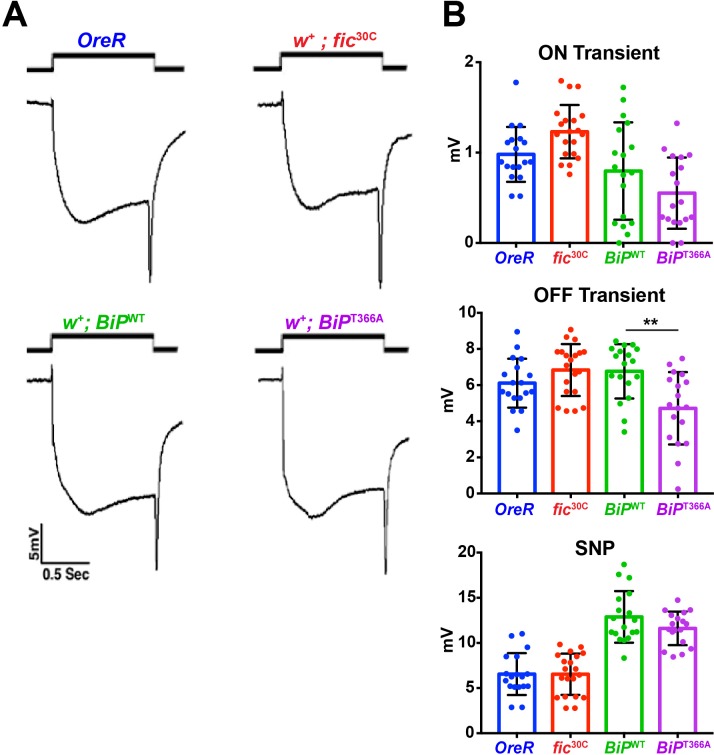 Figure 1—figure supplement 3.