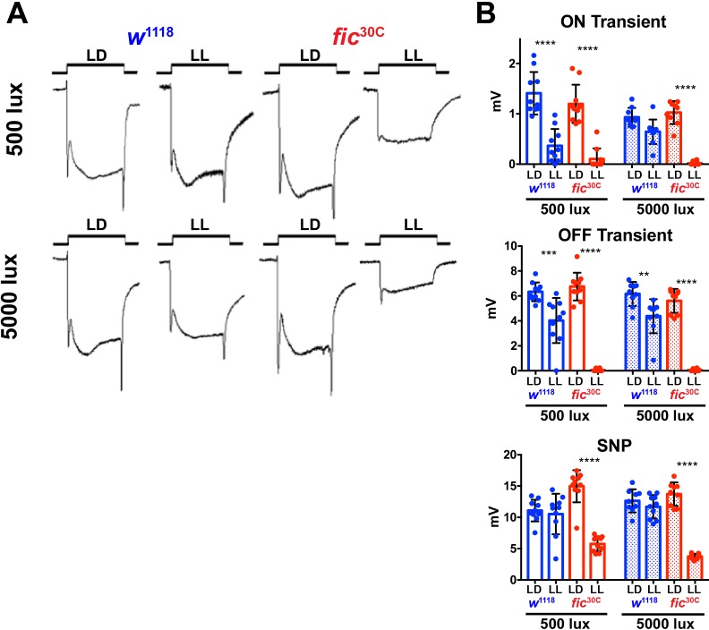 Figure 3—figure supplement 2.