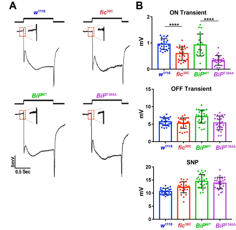 Figure 1—figure supplement 2.