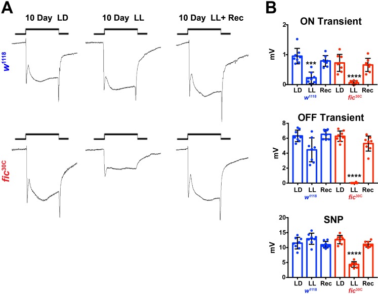 Figure 3—figure supplement 3.