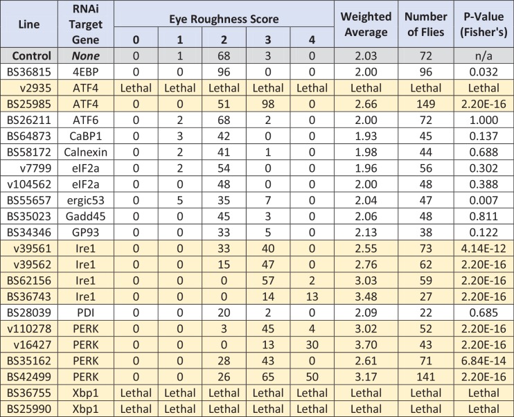 Figure 2—figure supplement 1.