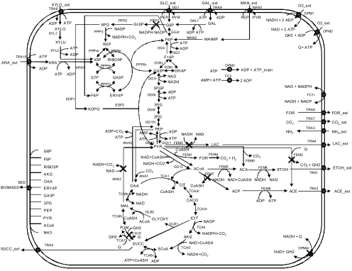 FIG. 1.