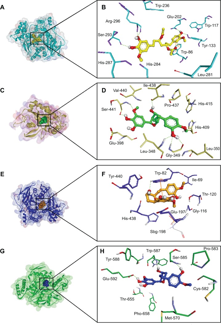 Figure 6