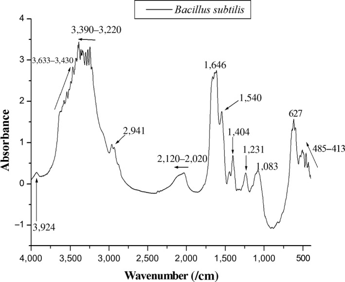 Figure 7