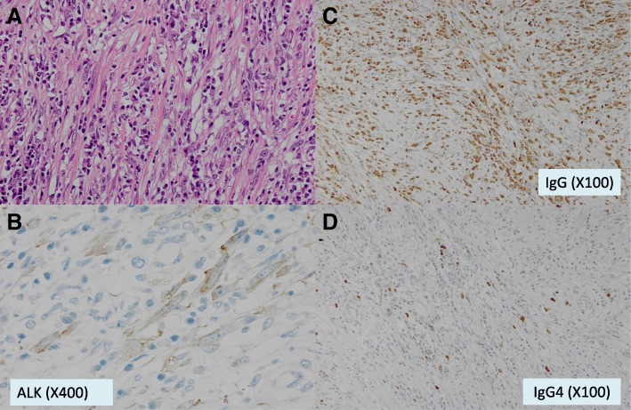 Fig. 2 