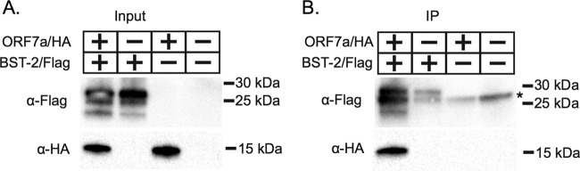 FIG 6