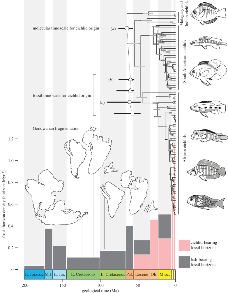 Figure 1.