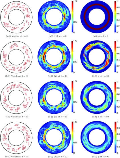 FIG. 7.