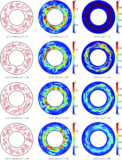 FIG. 8.