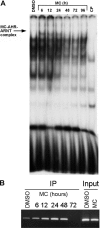 Fig. 7.