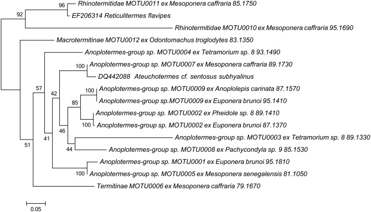 Fig 1