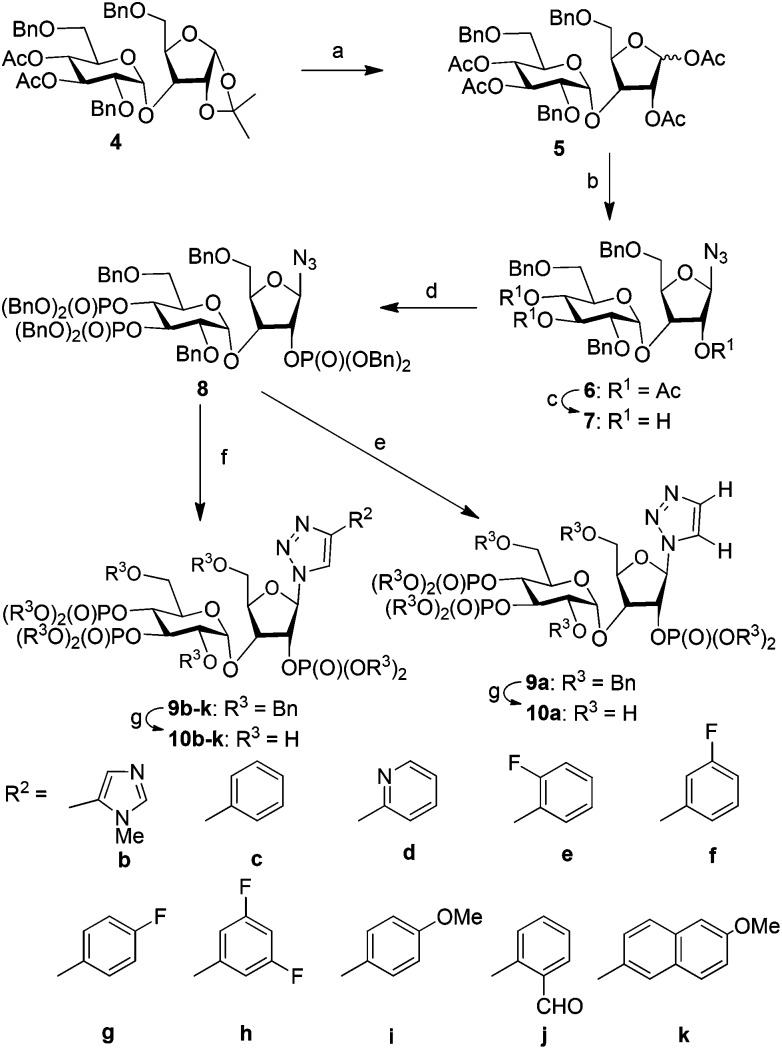 Scheme 1