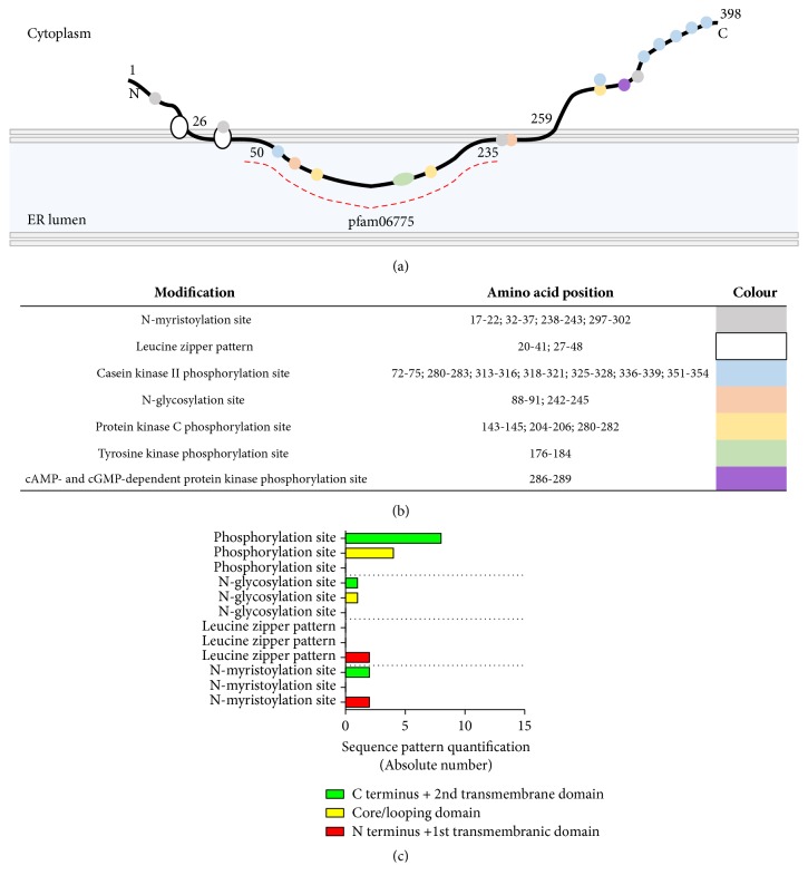 Figure 12