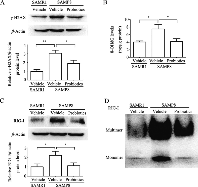 Figure 5