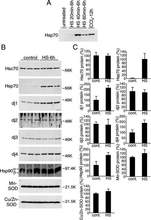 Fig 4.