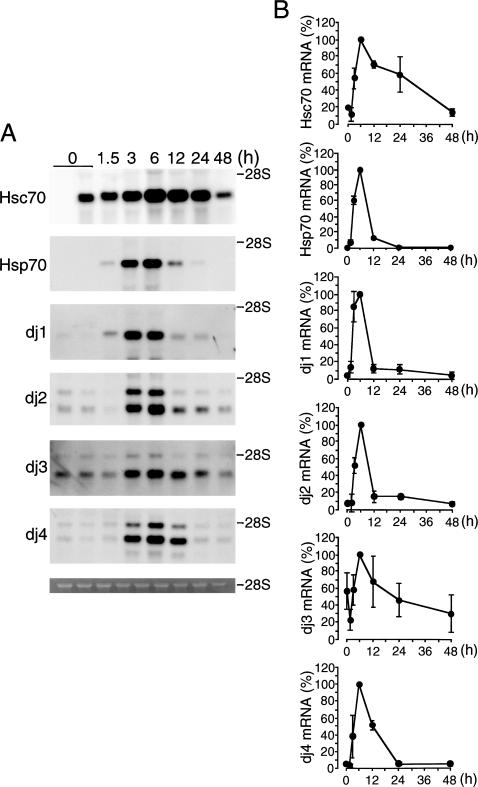 Fig 2.