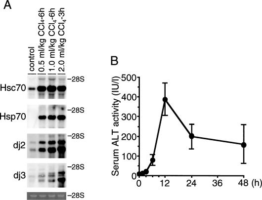 Fig 1.