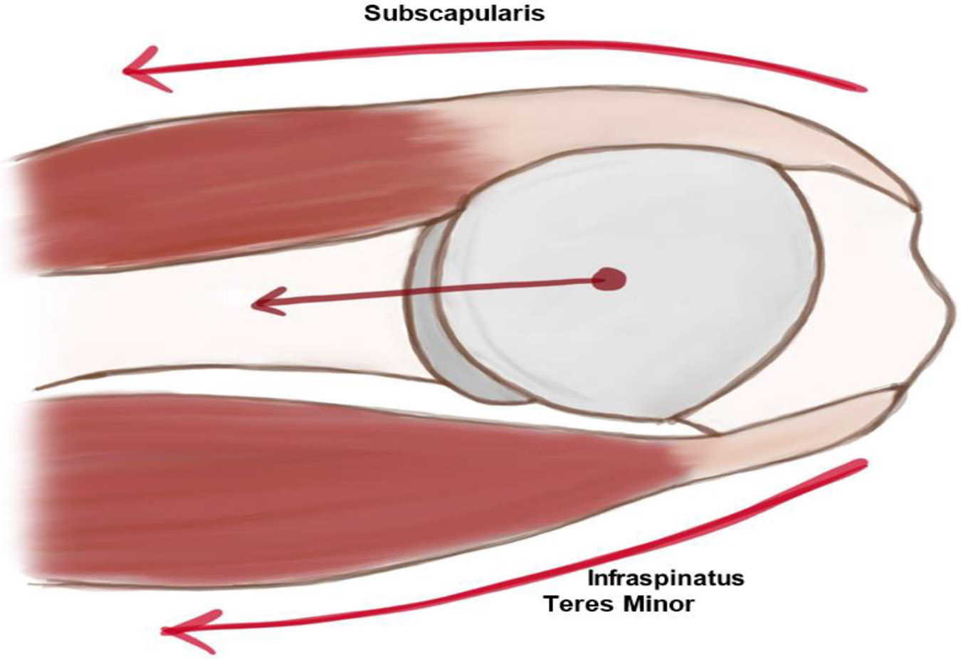 Figure 2: