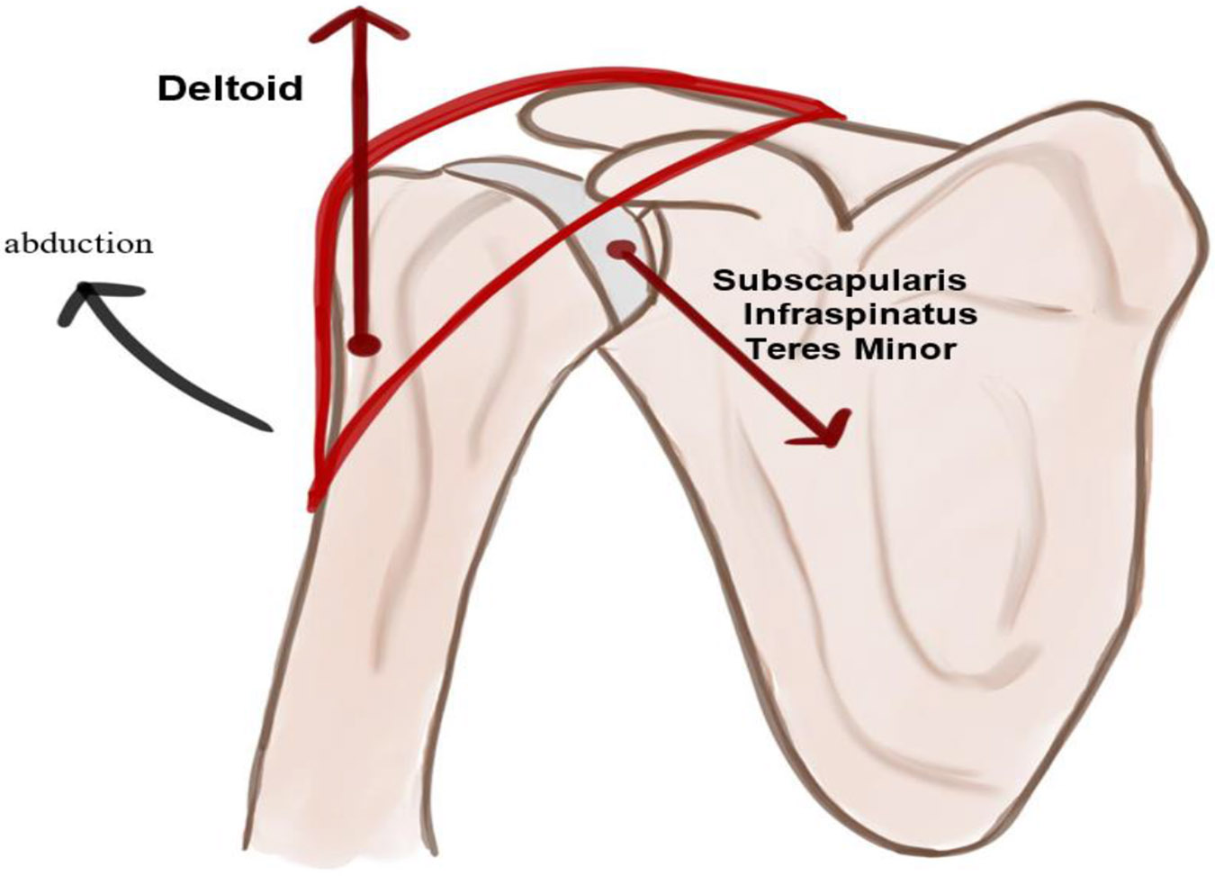 Figure 1: