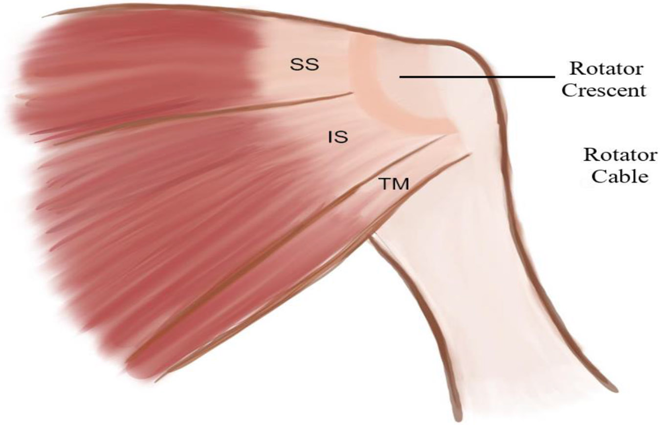 Figure 4: