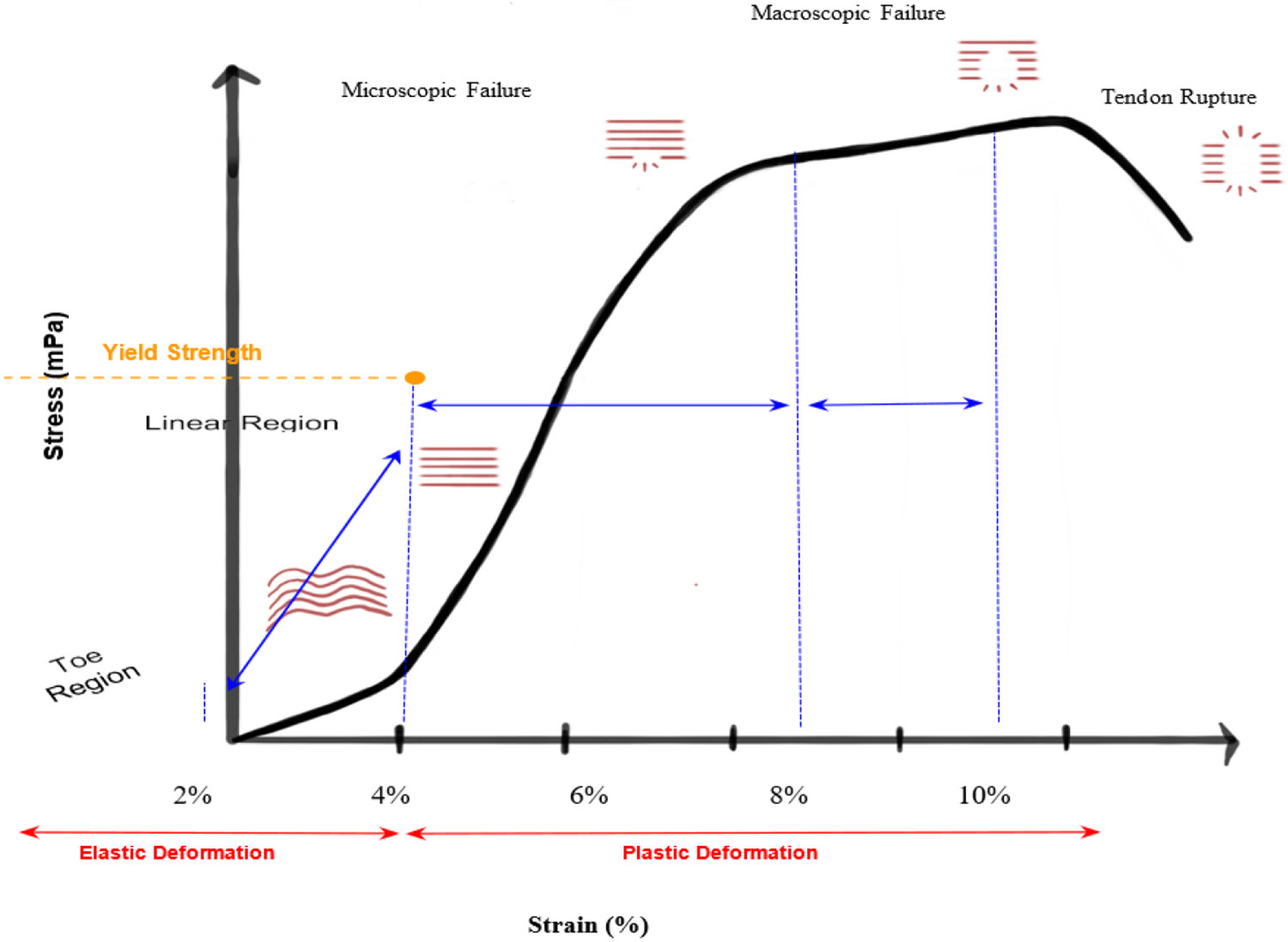 Figure 6: