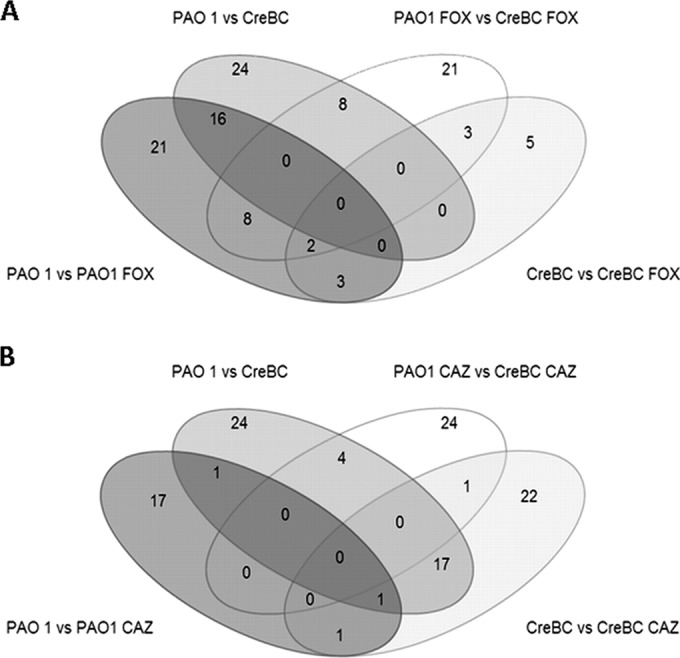 FIG 3