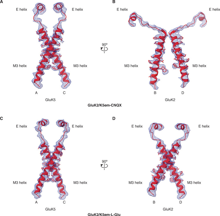 Figure 5—figure supplement 1.