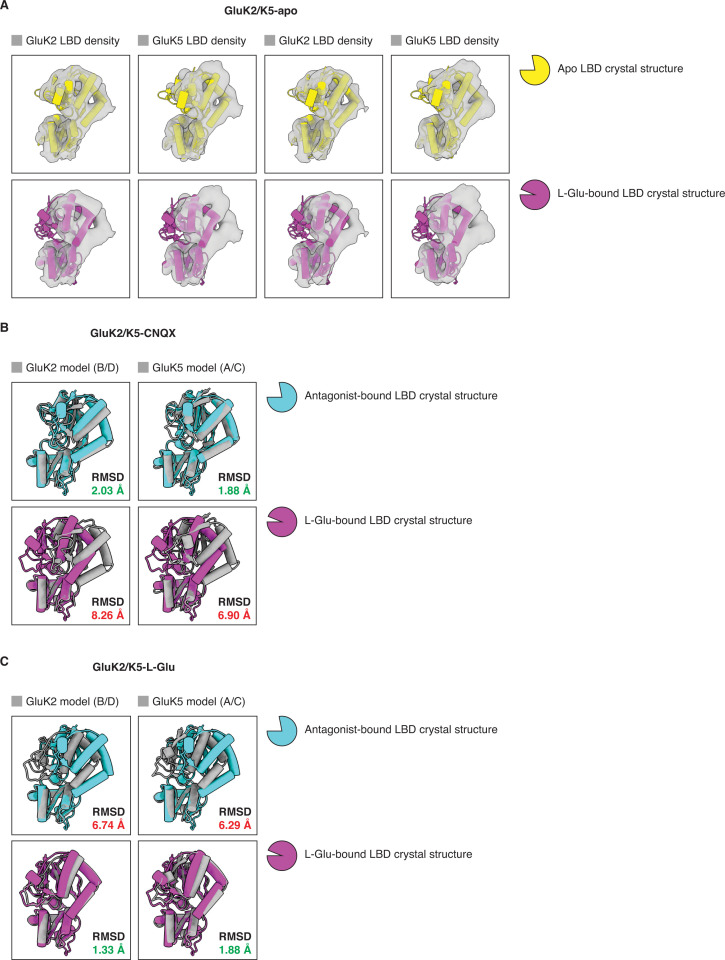 Figure 1—figure supplement 5.