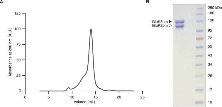 Figure 1—figure supplement 3.