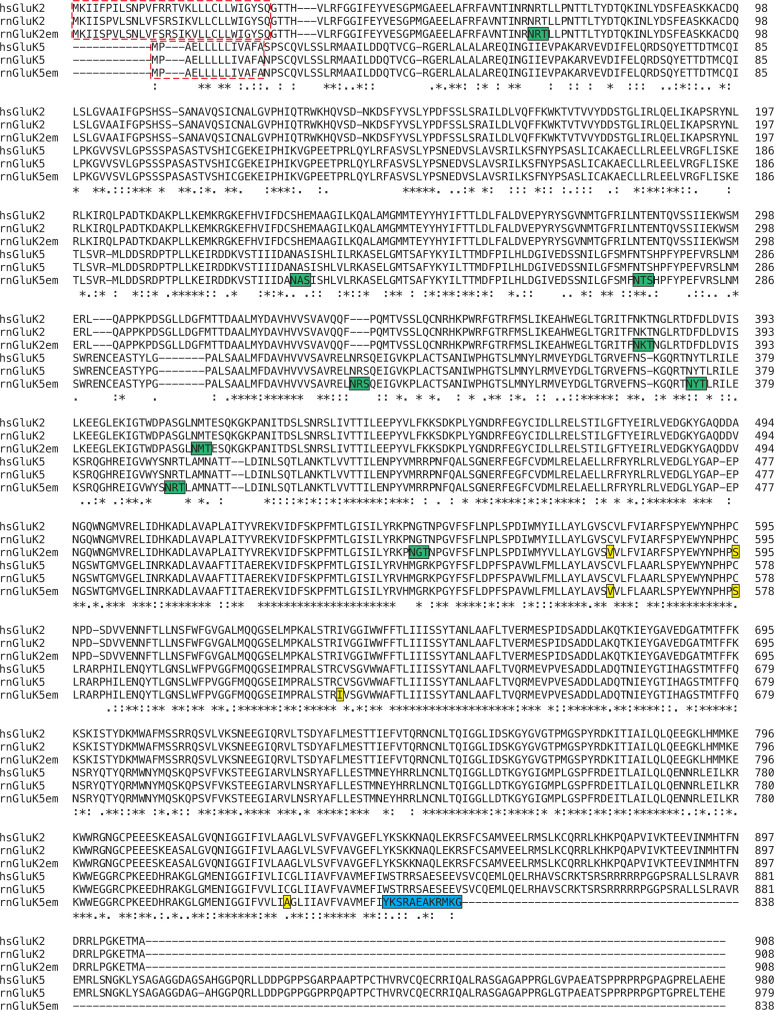 Figure 1—figure supplement 1.