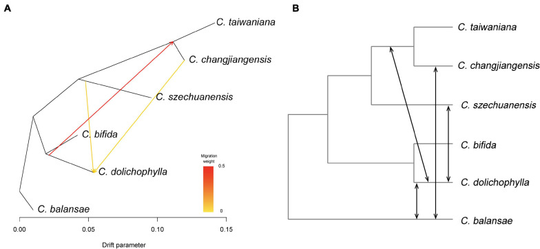 FIGURE 4