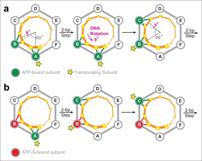 Figure 7.