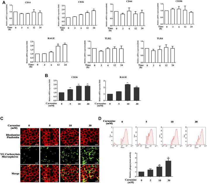 FIGURE 4