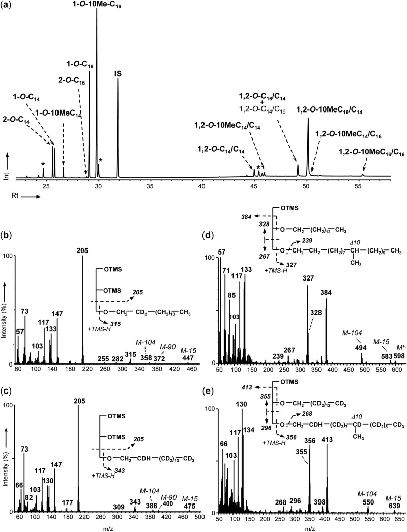 FIG 2