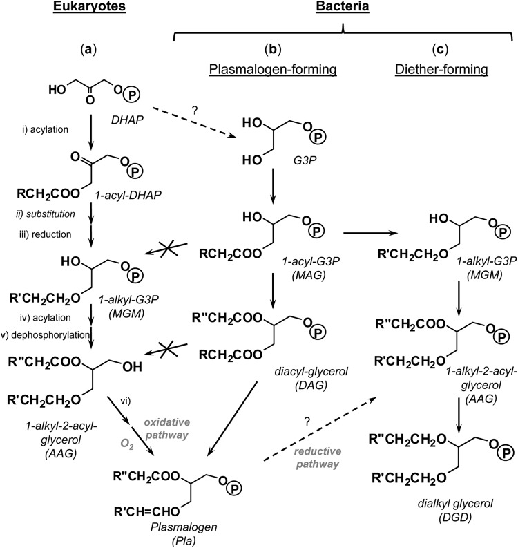 FIG 5