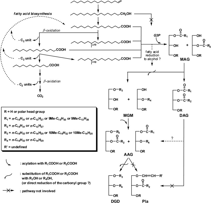 FIG 6