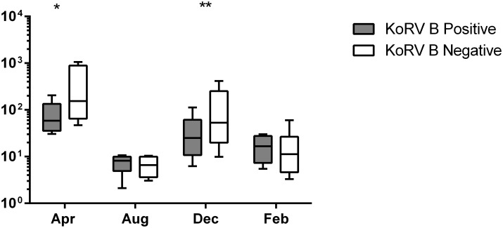 Fig 6