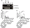 Fig 4.