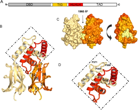 FIGURE 2.